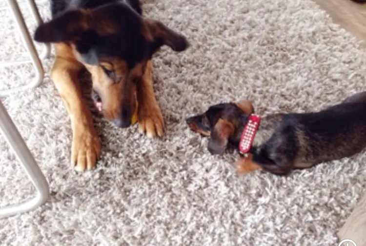 Condolence image of Angelika Ausmann 