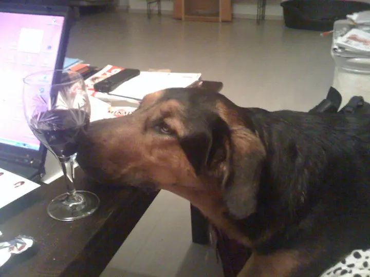 Condolence image of Doris