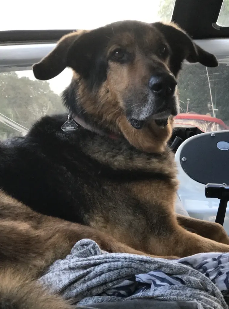 Condolence image of Doris