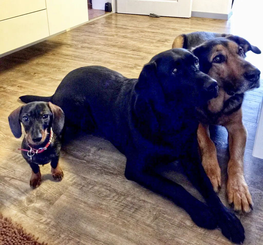 Condolence image of Doris