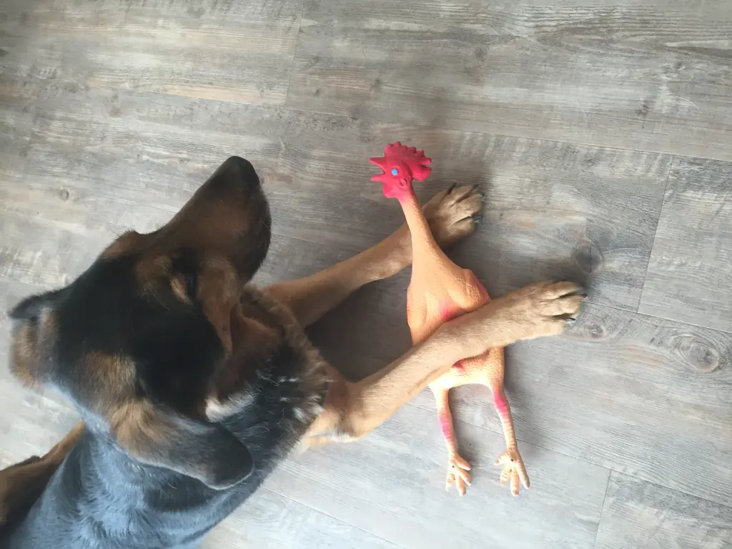 Condolence image of Sepp