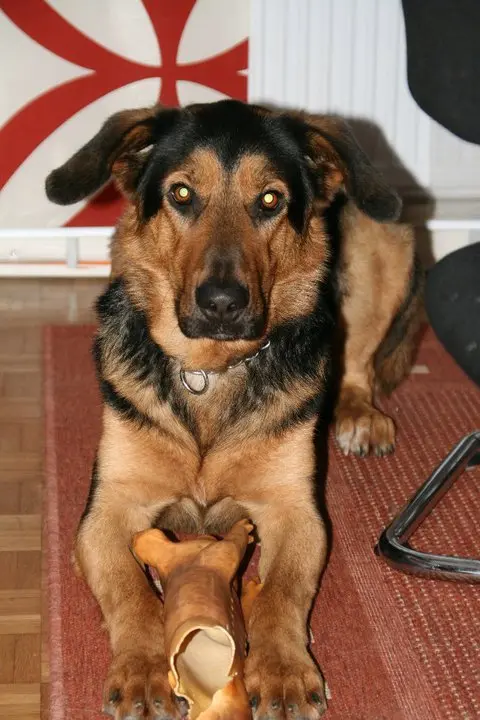 Condolence image of Doris