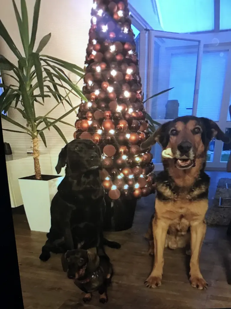 Condolence image of Doris