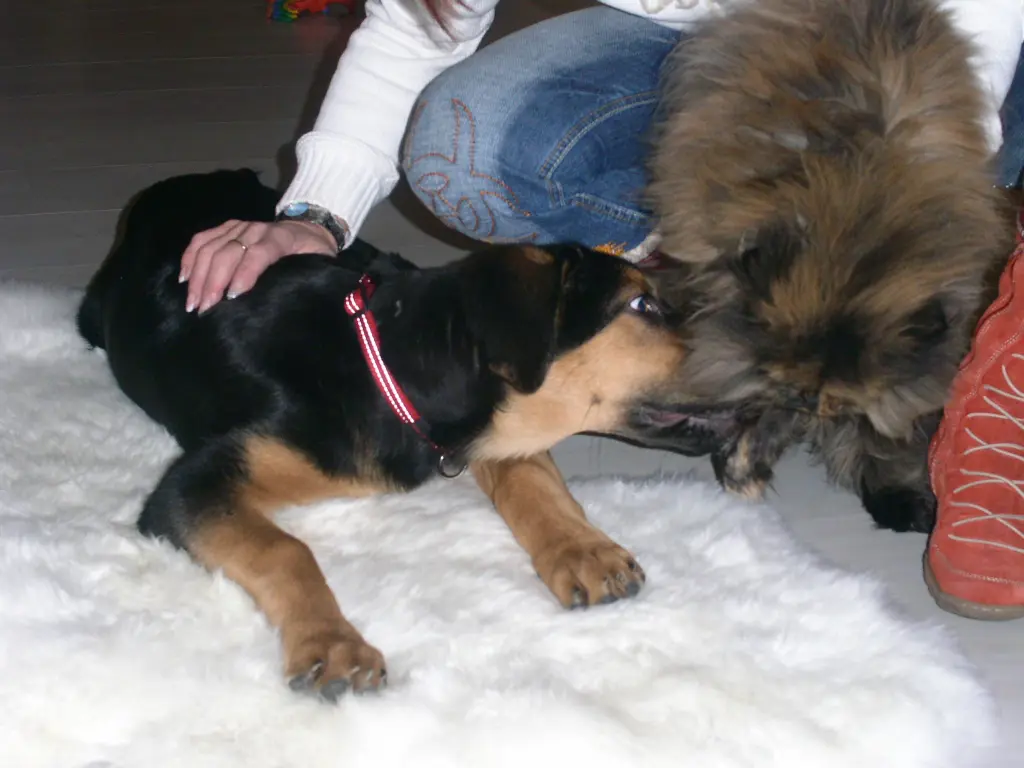 Condolence image of Doris