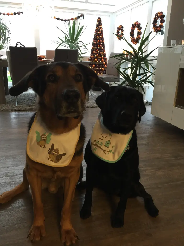 Condolence image of Doris