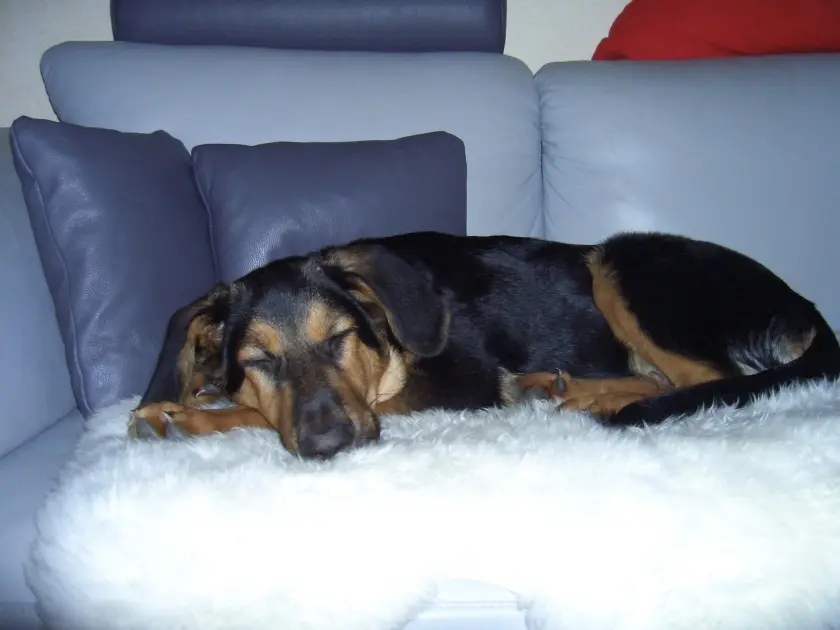 Condolence image of Doris