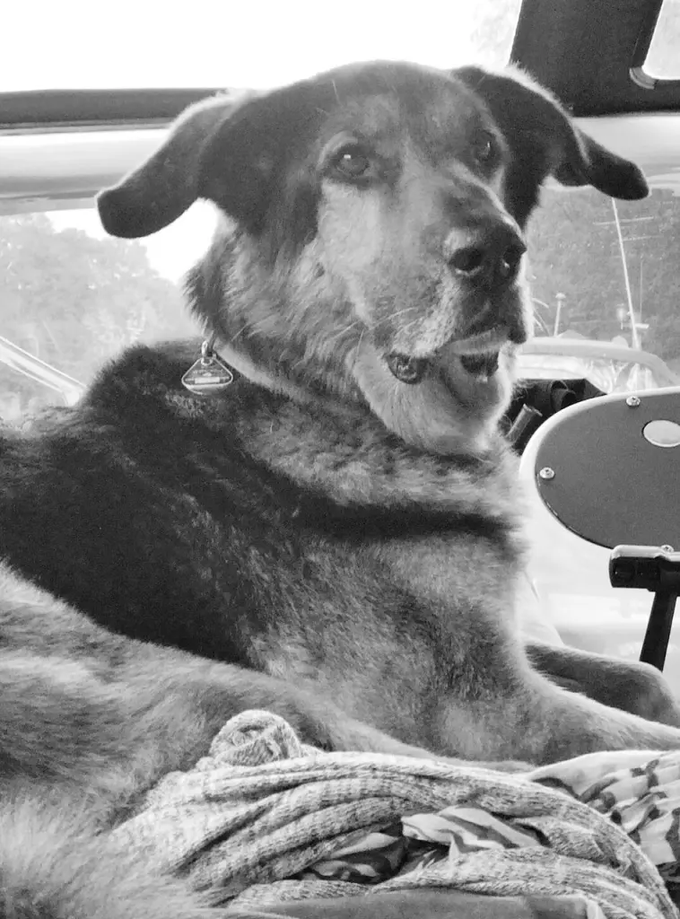 Condolence image of Josef