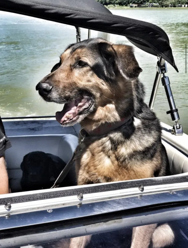 Condolence image of Doris