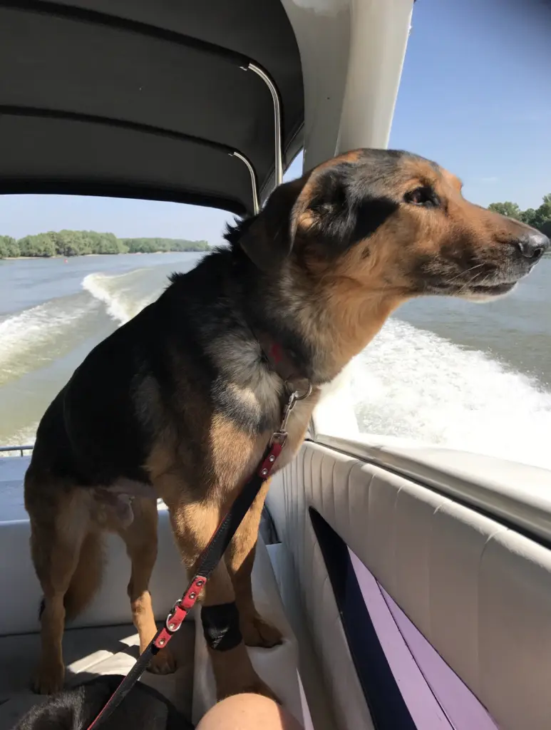 Condolence image of Doris