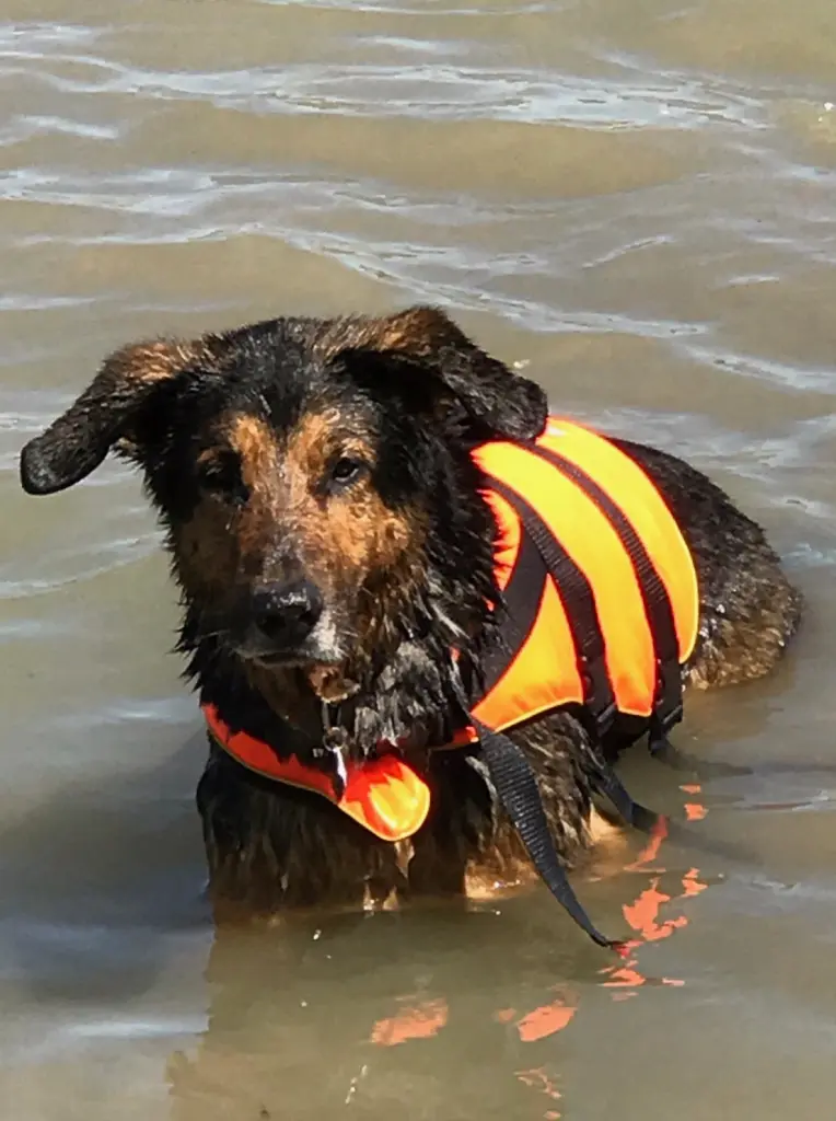 Image from Rusty