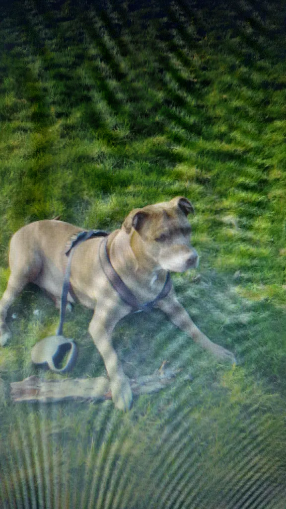 Condolence image of Manu und Pascal mit Louisa im Herzen