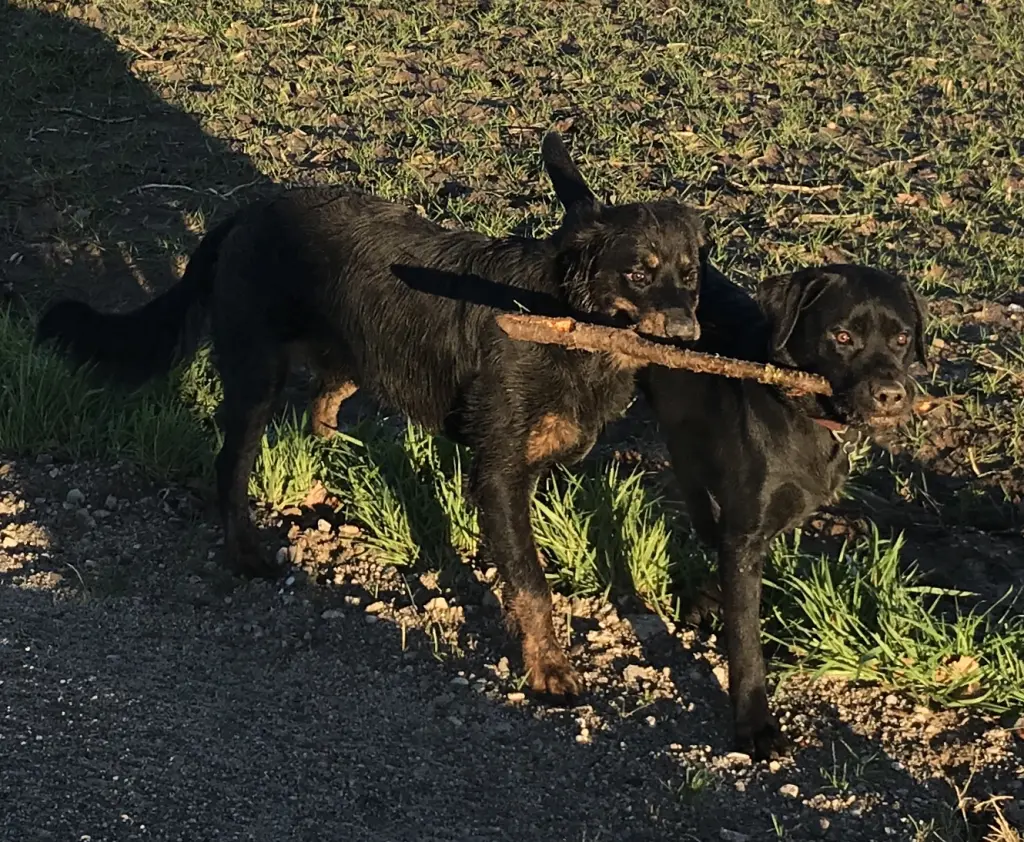 Condolence image of Aga 