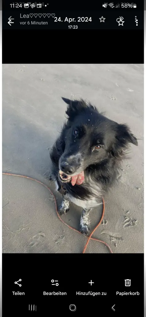 Ebenfalls In Dänemark, Bobby liebte das Meer