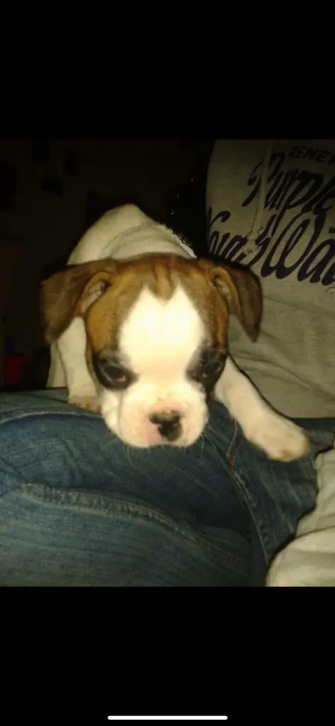 Dein erster Tag bei uns ❤️