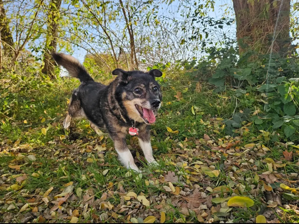 Für immer unsere kleine Grinsebacke.