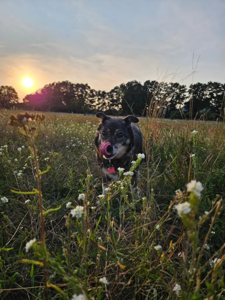 Lieblings-Gretchen 🥰