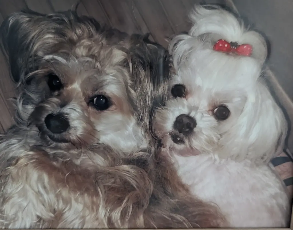 Lexy und Lilou unzertrennlich