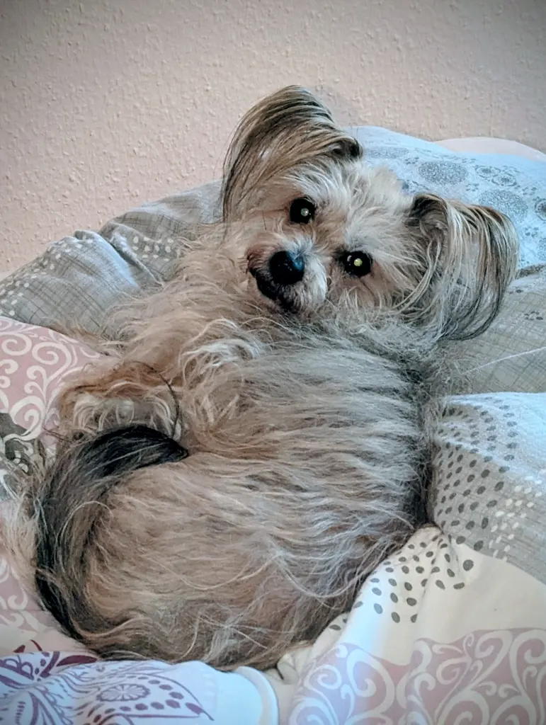 2024 als ihre Schwester von uns gegangen ist, sie hat gar nicht registriert