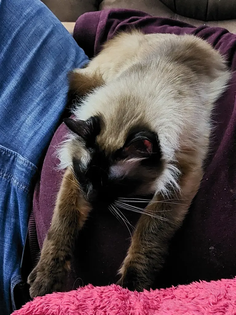 Deine Lieblingsposition