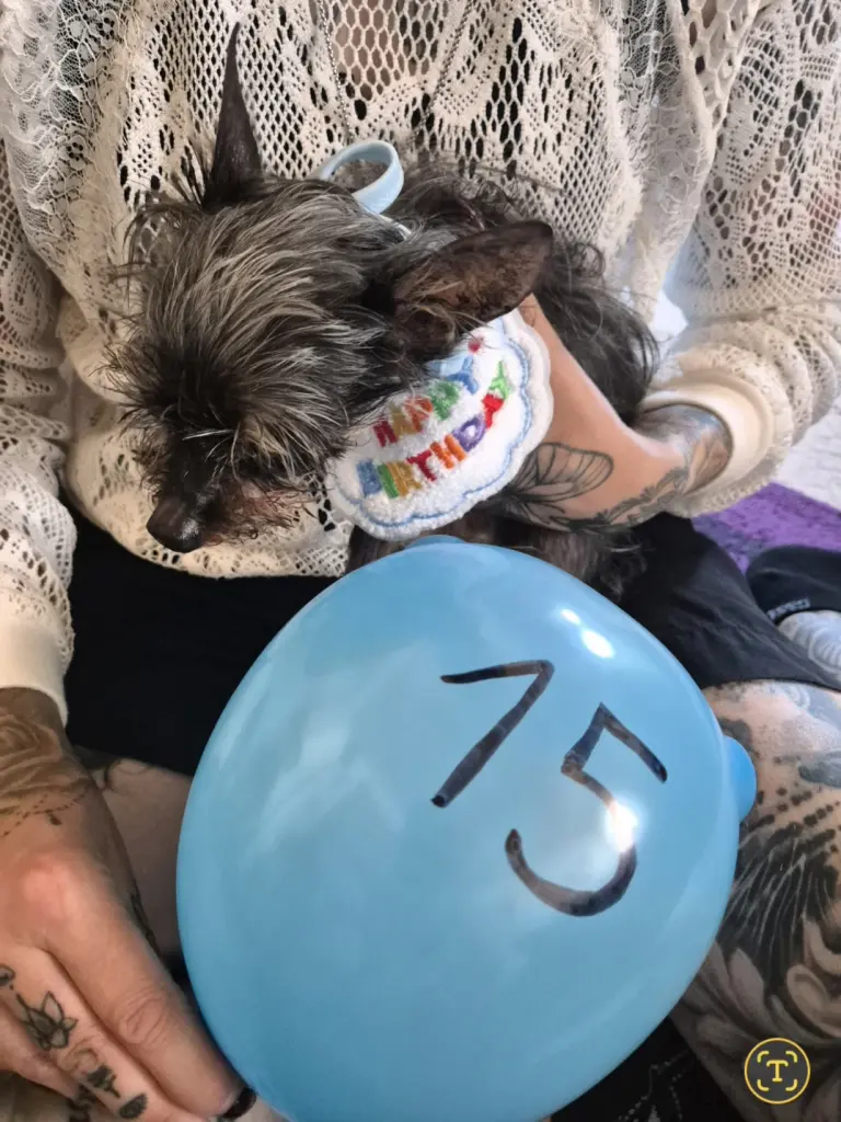 Sein letzter Geburtstag.