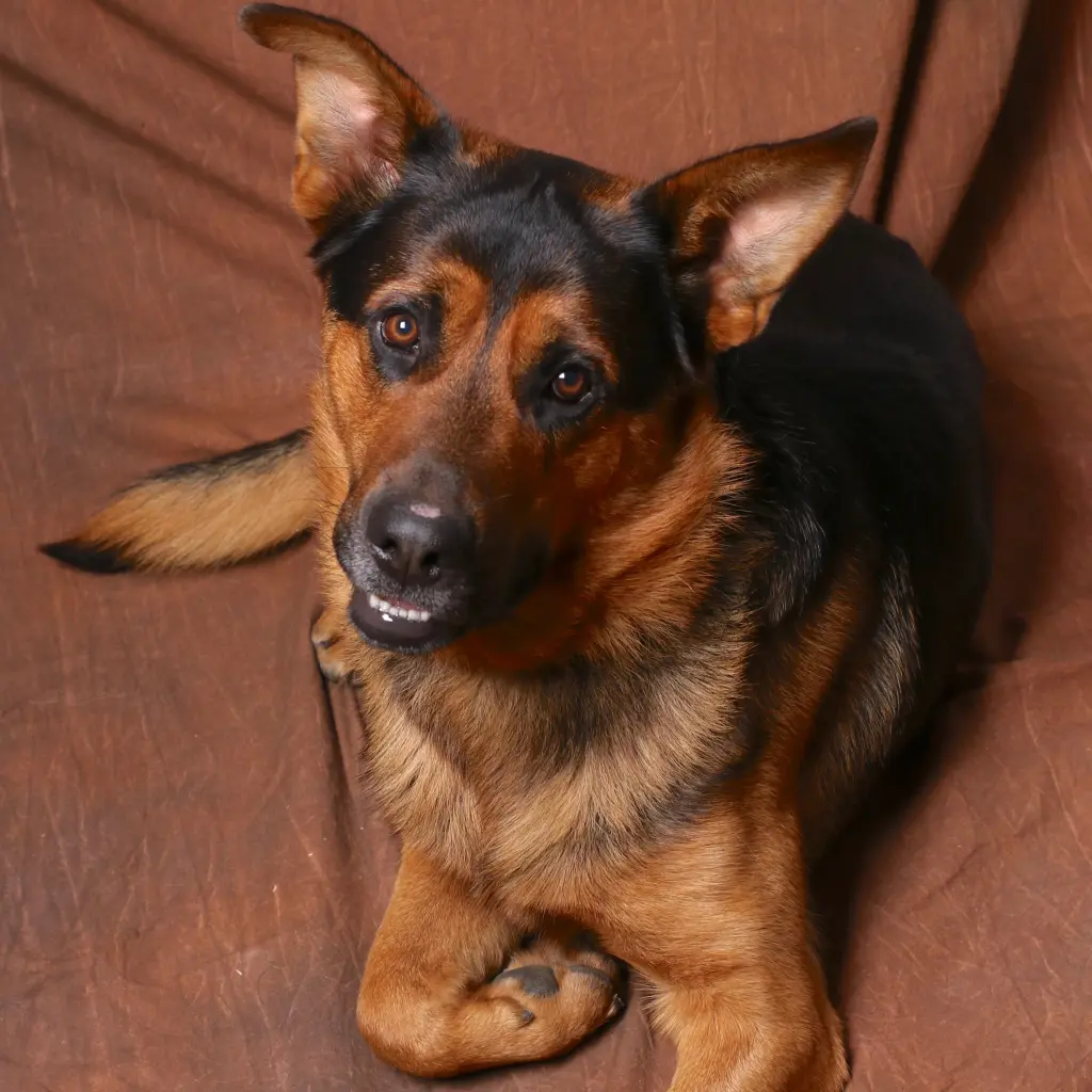 Image from Barny
