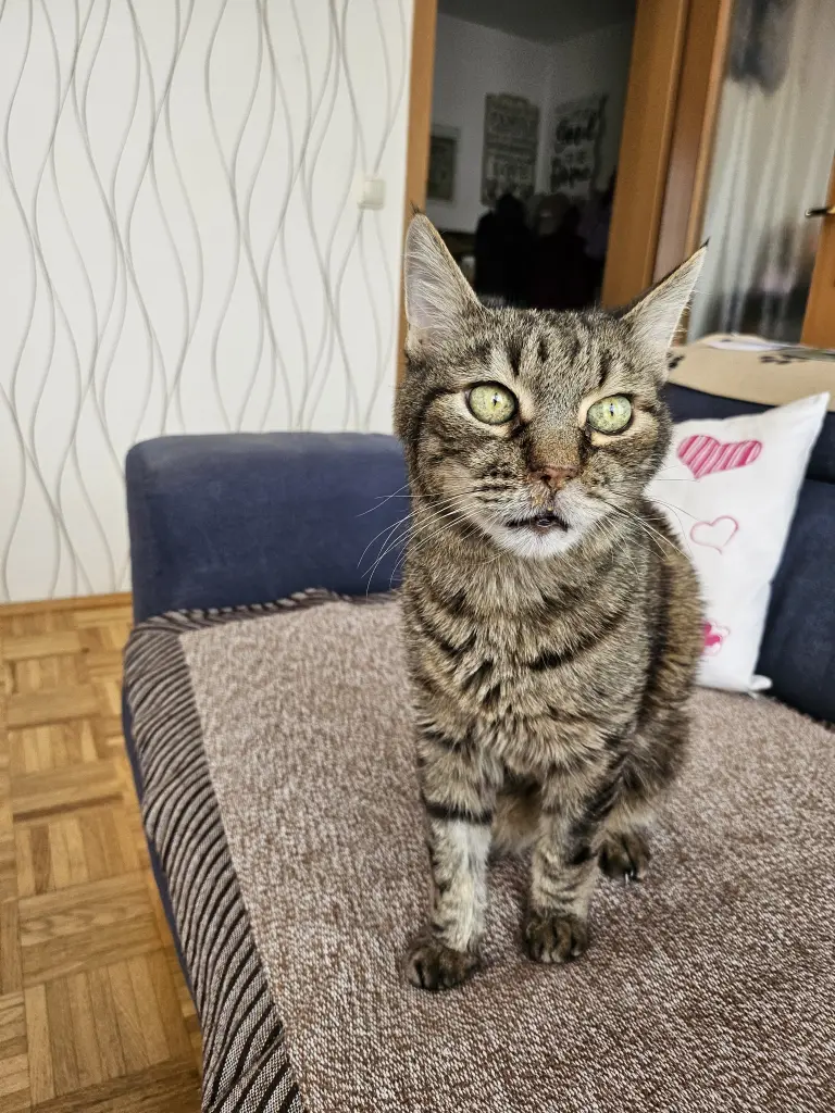 Andachtsbild von Tina