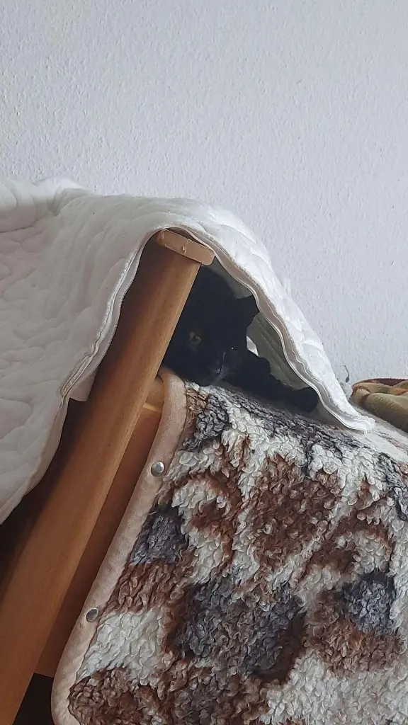 Andachtsbild von Isabell