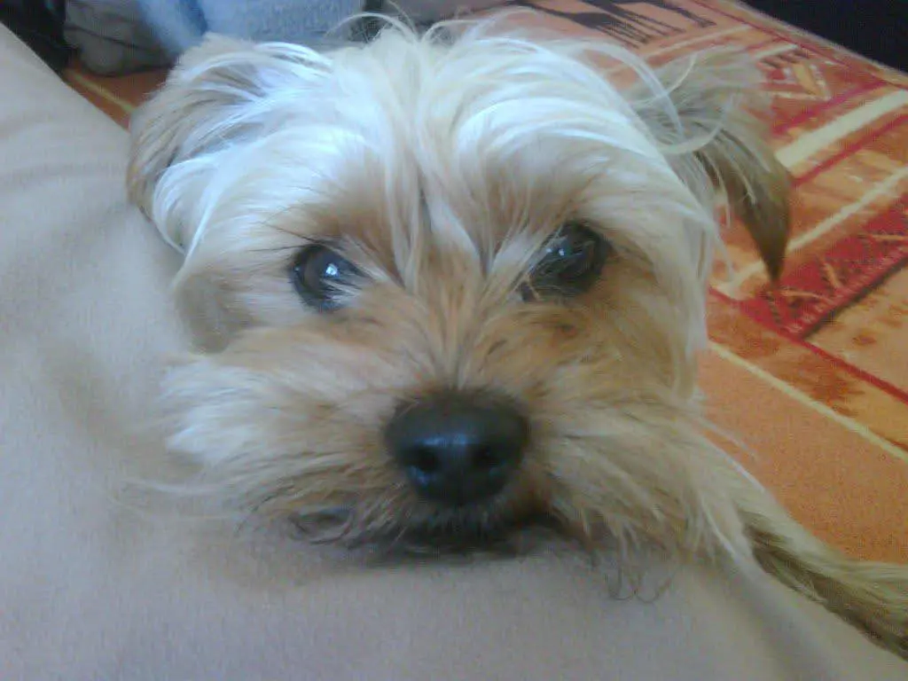 Image from JJ