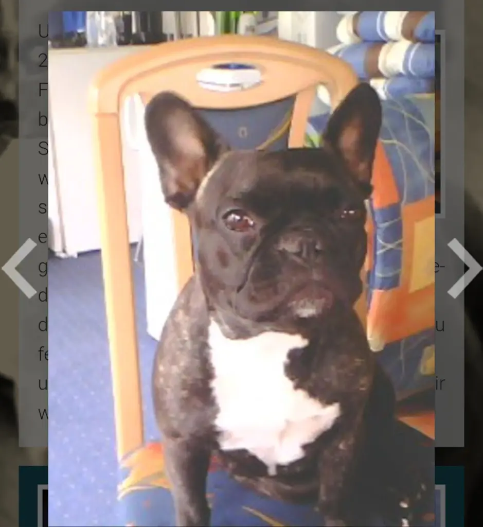 Andachtsbild von Birgit mit Susi im Herzen