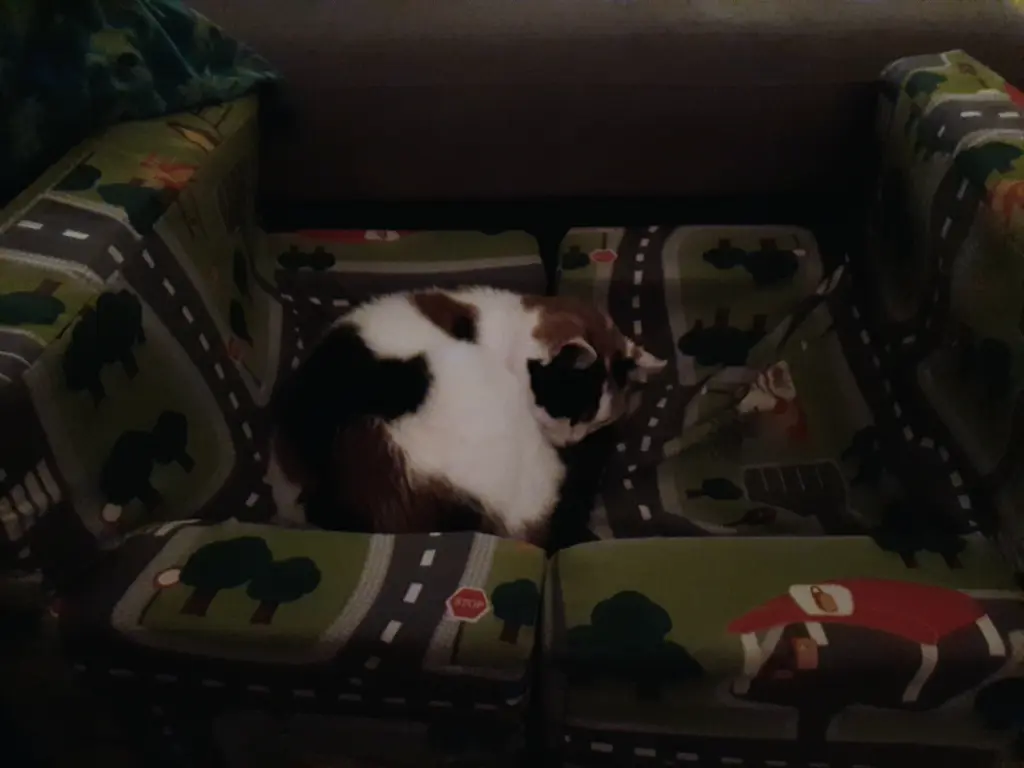 Wofür Kindersessel so alles gut sein können