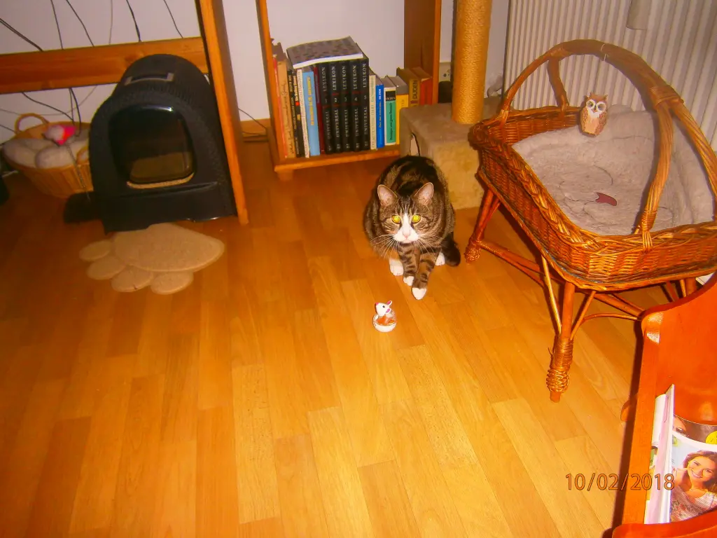Image from OSKAR