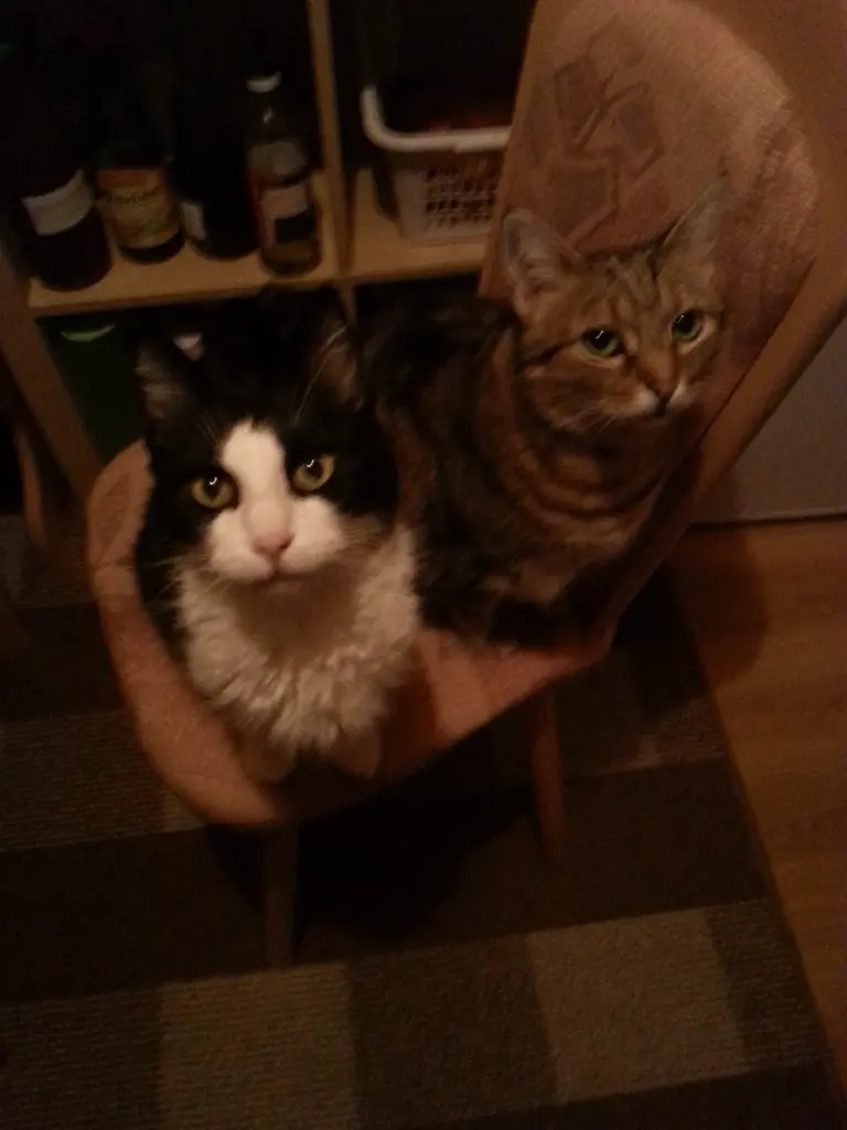 Condolence image of Peter und Marina mit Whisky Gestorben am 25.11.2017