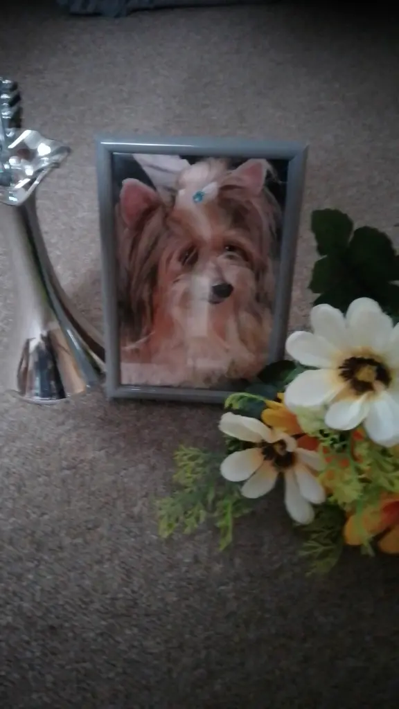 Condolence image of Konny mit Piccolino-Fly tief im ❤️