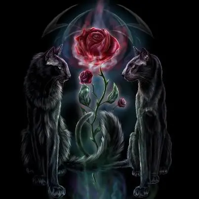 Condolence image of Carmen, Mario und Sternenbub Ravi