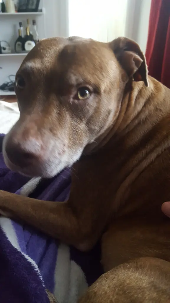 Condolence image of Manu, Pascal mit Louisa im Herzen