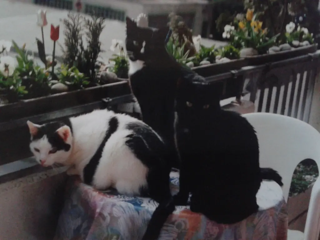 Andachtsbild von Jutta Kühn