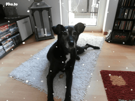 Condolence image of Unbekannt