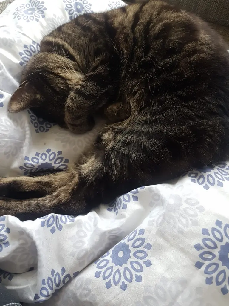 Du hattest die kugiosesten Verrenkungen beim schlafen