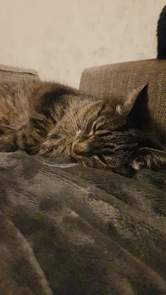 Mit mir kuscheln war das A und O