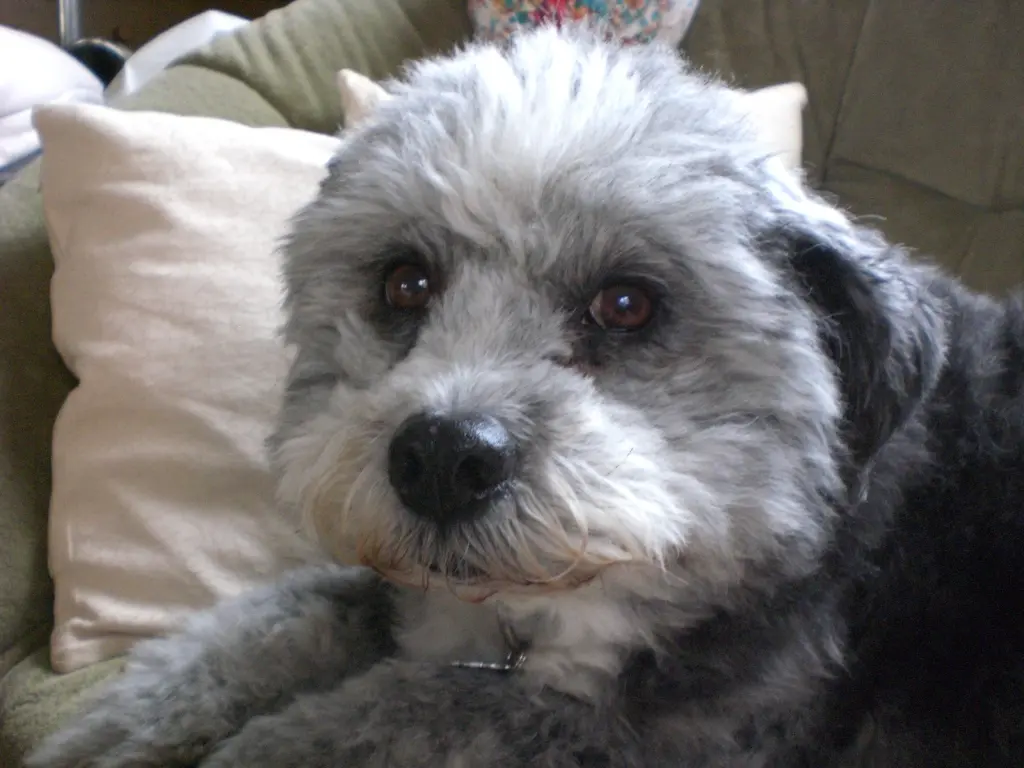 Condolence image of Gabriele