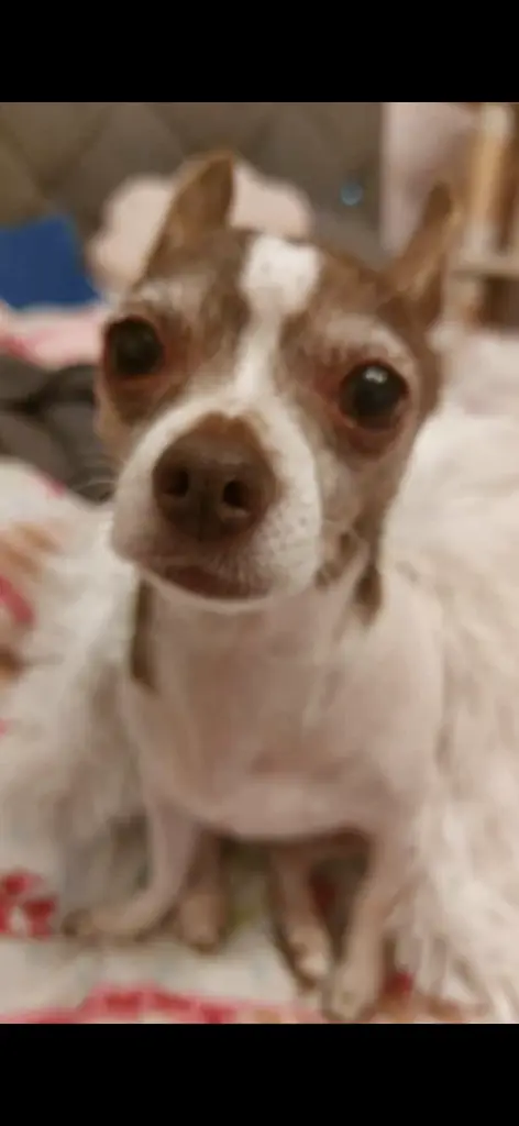 Condolence image of Jessica Or