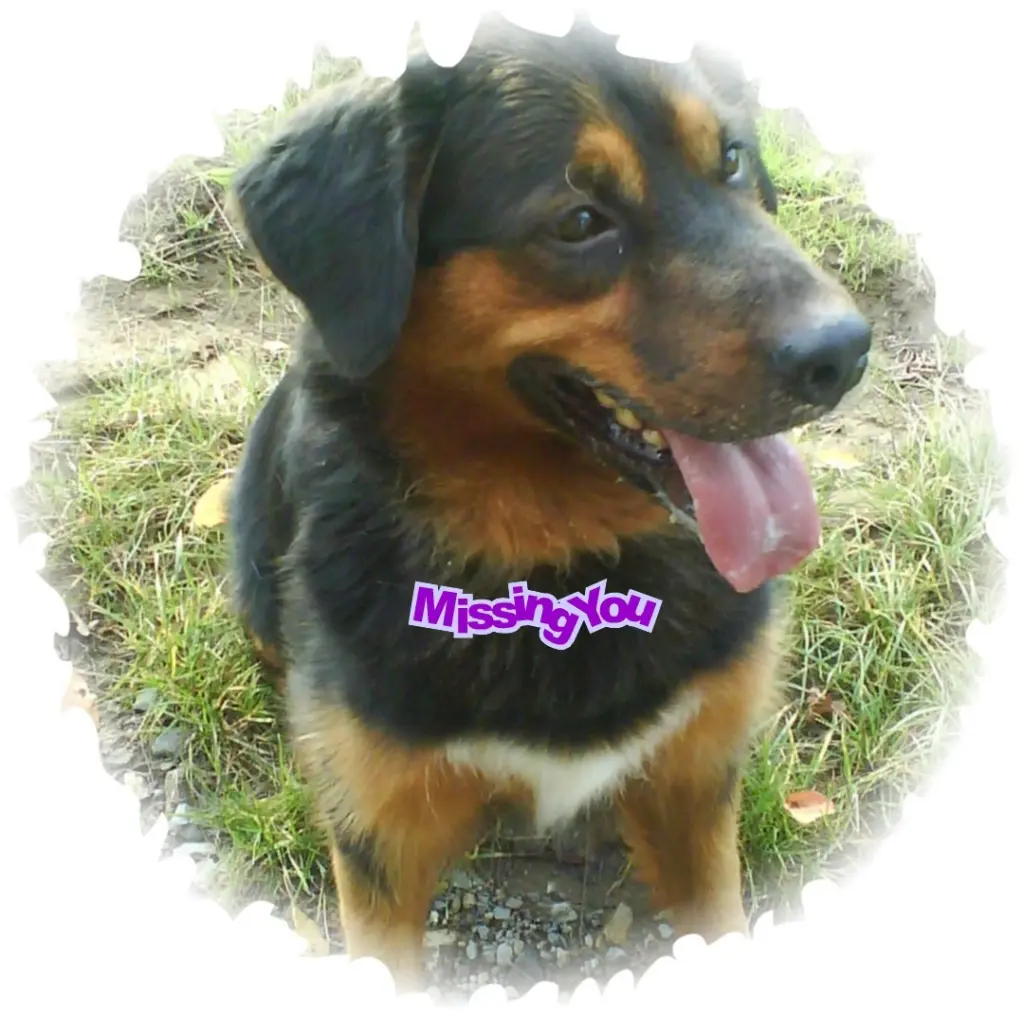 Condolence image of Unbekannt