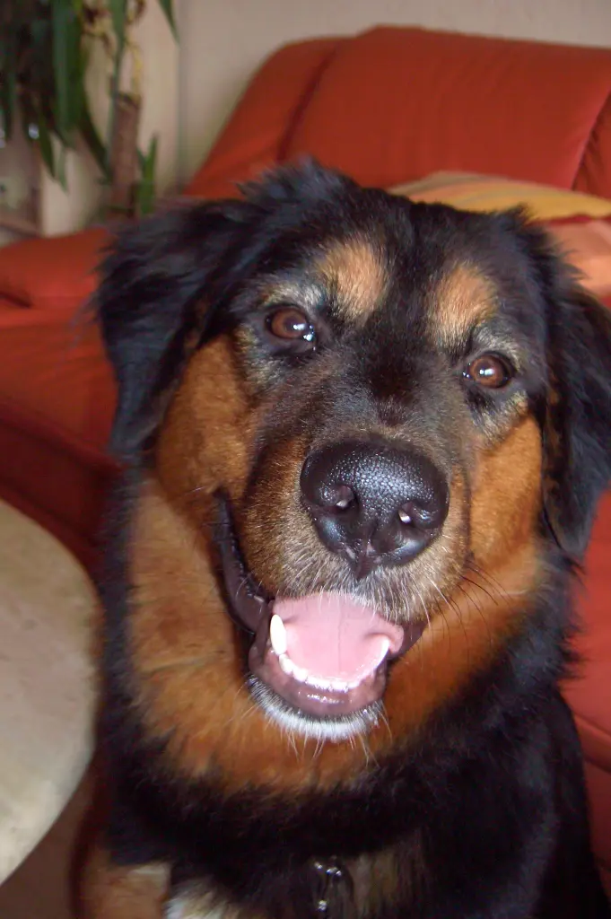 Condolence image of Karin