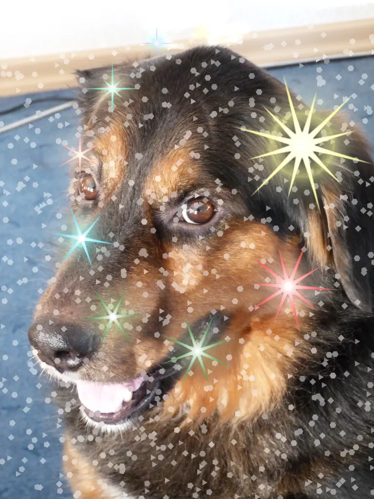 Condolence image of Karin