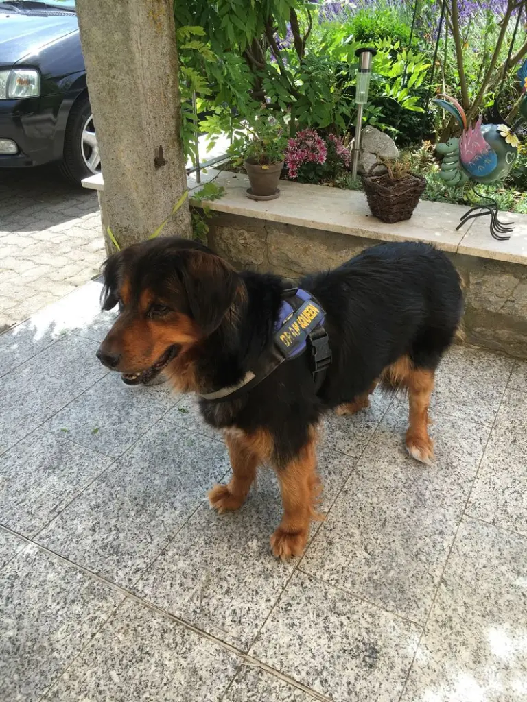 Condolence image of Karin