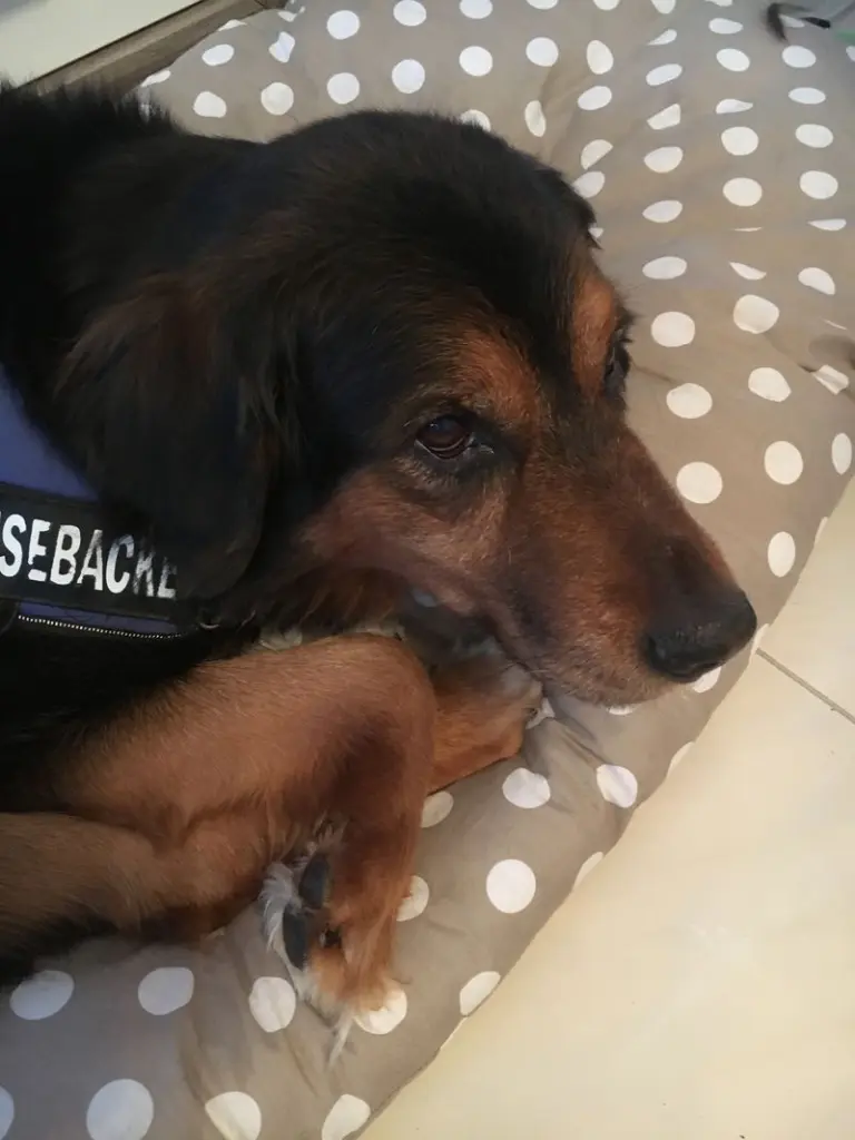 Condolence image of Karin