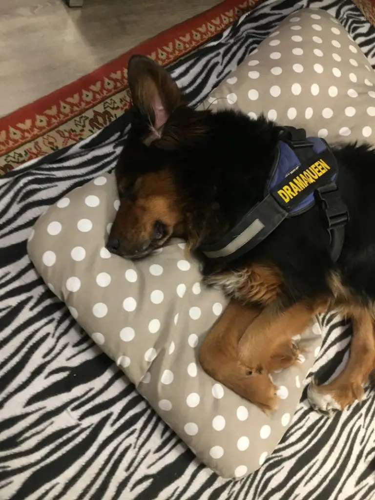 Condolence image of Karin