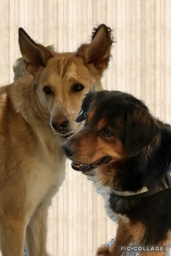 Condolence image of Karin