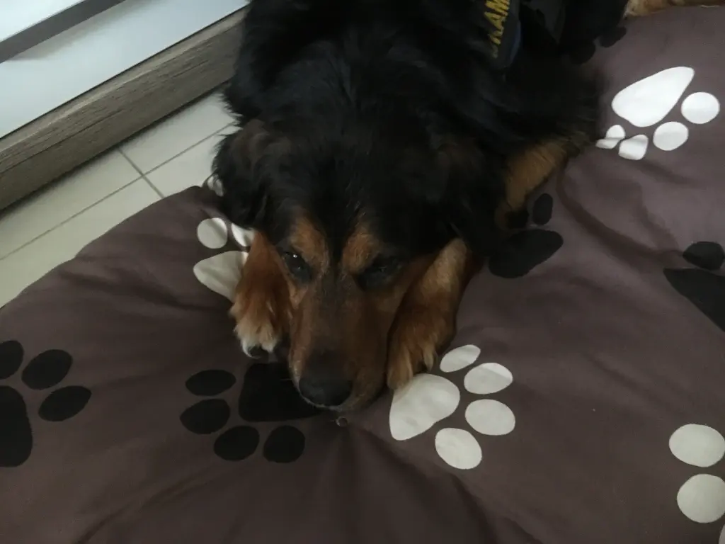 Condolence image of Karin