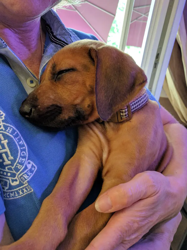 Das erst kennenlernen und direkt auf Mamas Arm am schlafen.